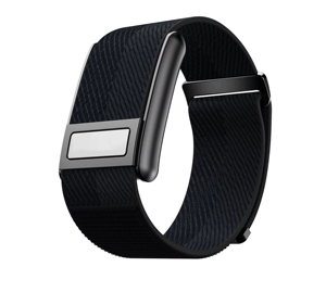 Femme ECG Stress & Mood Tracking Female Biological Cycle Management Smart Health Bracelets with Biological Index Age & Recovery